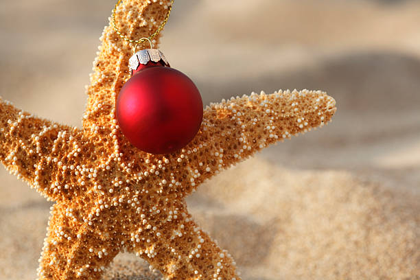 istock Christmas at the Beach 175945058