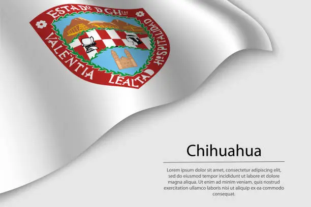 Vector illustration of Wave flag of Chihuahua is a region of Mexico