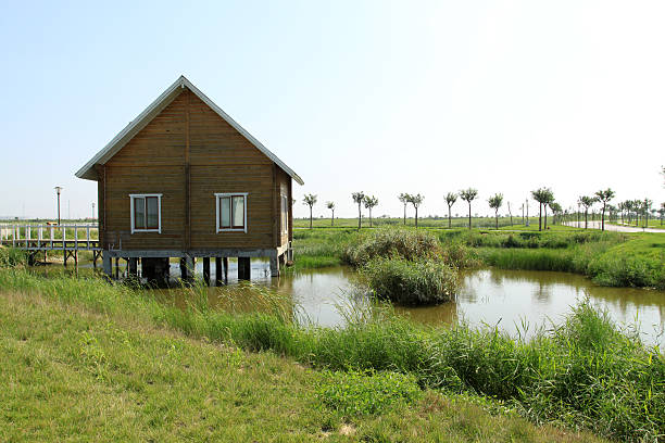 istock wood house in the pool 175945305