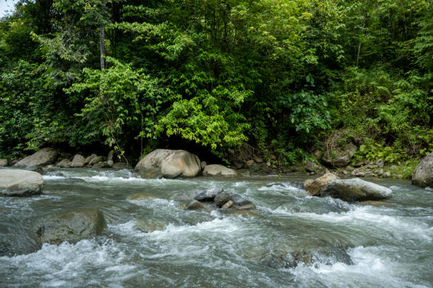 istock Clean and Natural River - Stock Photo 1759457327