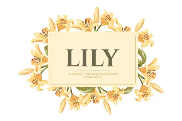 Vector illustration of Decorative botanical label illustration. Floral arrangement, frame of yellow cartoon lily flowers. Vector isolated Design element for packaging.
