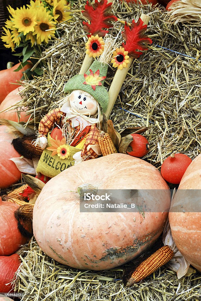 Freschi biologici pumpkins - Foto stock royalty-free di Agricoltura