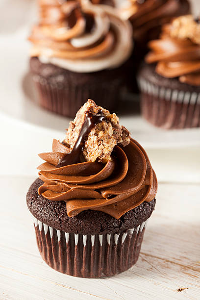 istock Homemade Chocolate Cupcake with frosting 175946881