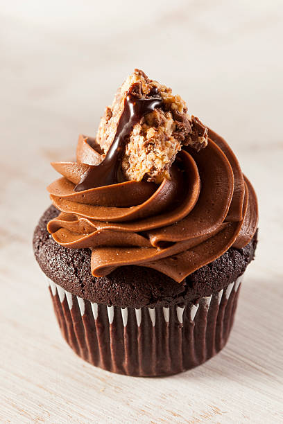 istock Homemade Chocolate Cupcake with frosting 175946886