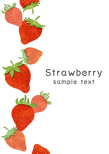 Hand drawn strawberry frame.strawberry vector background illustration.