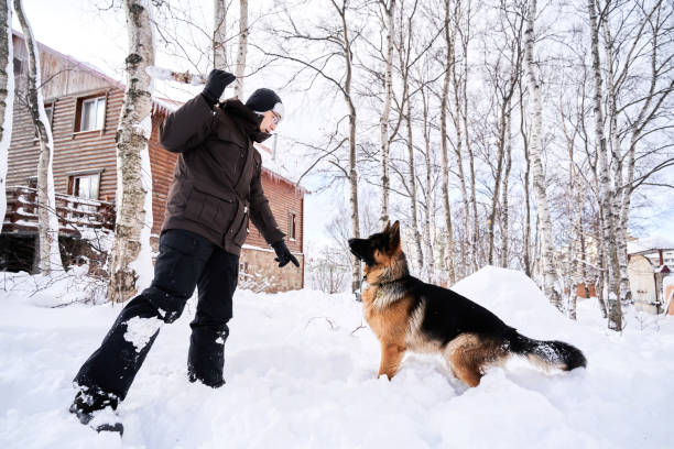um homem brinca de buscar com um cachorro no quintal nevado de uma casa. - men jogging running sports training - fotografias e filmes do acervo