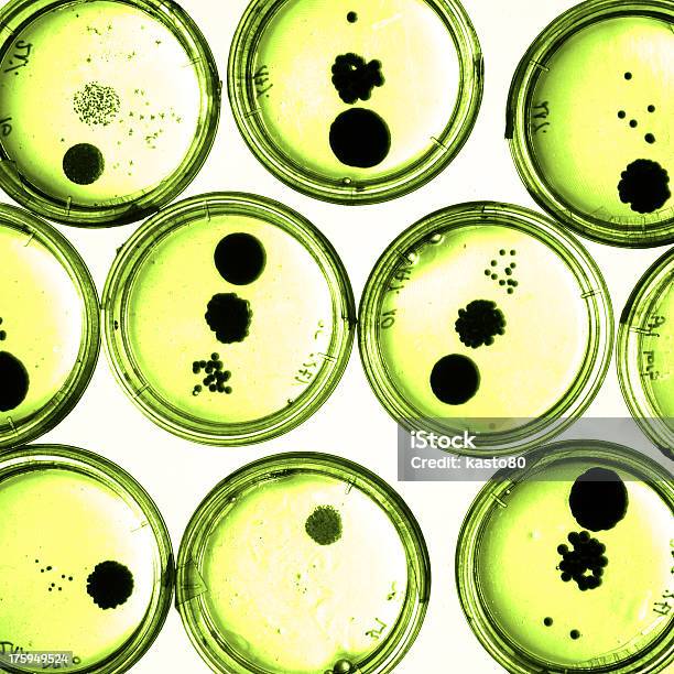 Photo libre de droit de Croissance Des Bactéries De Pétri banque d'images et plus d'images libres de droit de ADN - ADN, Agent pathogène, Analyser