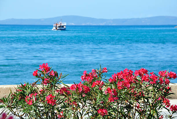 istock Boat, sea and flowers 175950374