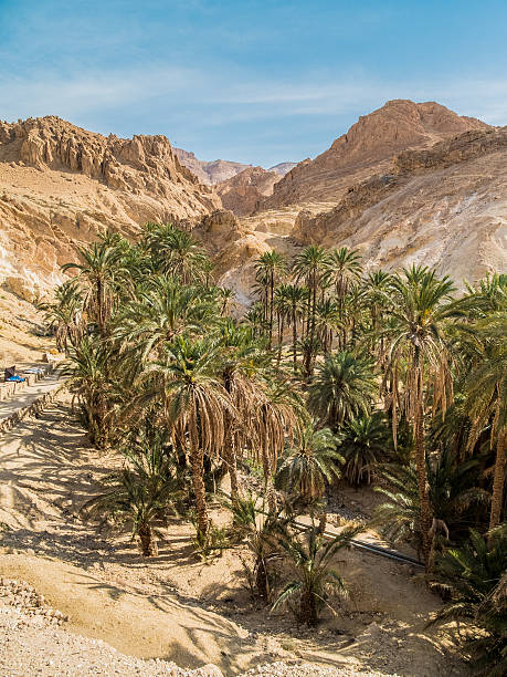 mountain oasis Chebika in Sahara desert, Tunisia stock photo