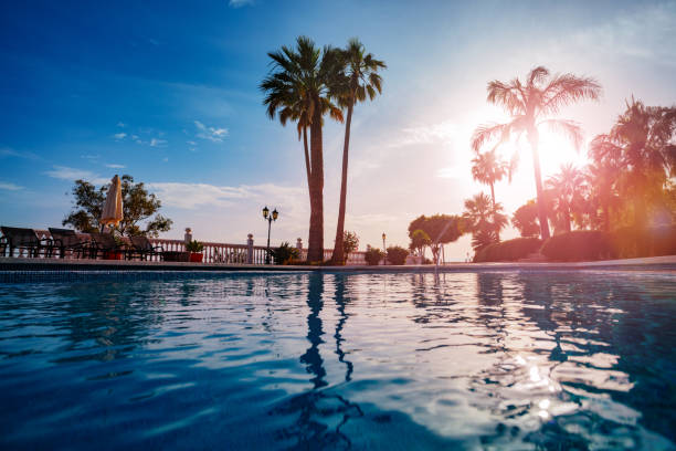 istock Outdoor swimming pool water over warm sunset light 1759515264