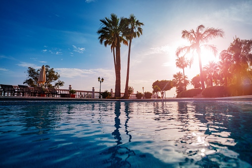 Outdoor swimming pool water over warm sunset light through palm trees, balustrade lounge chairs