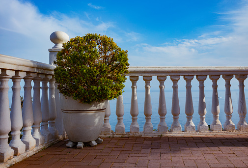 Close-up of a decorative bush near the balustrade railing with sea on background