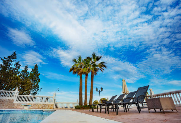 istock Chaise longs near pool and 3 palms over clear blue sky 1759516476