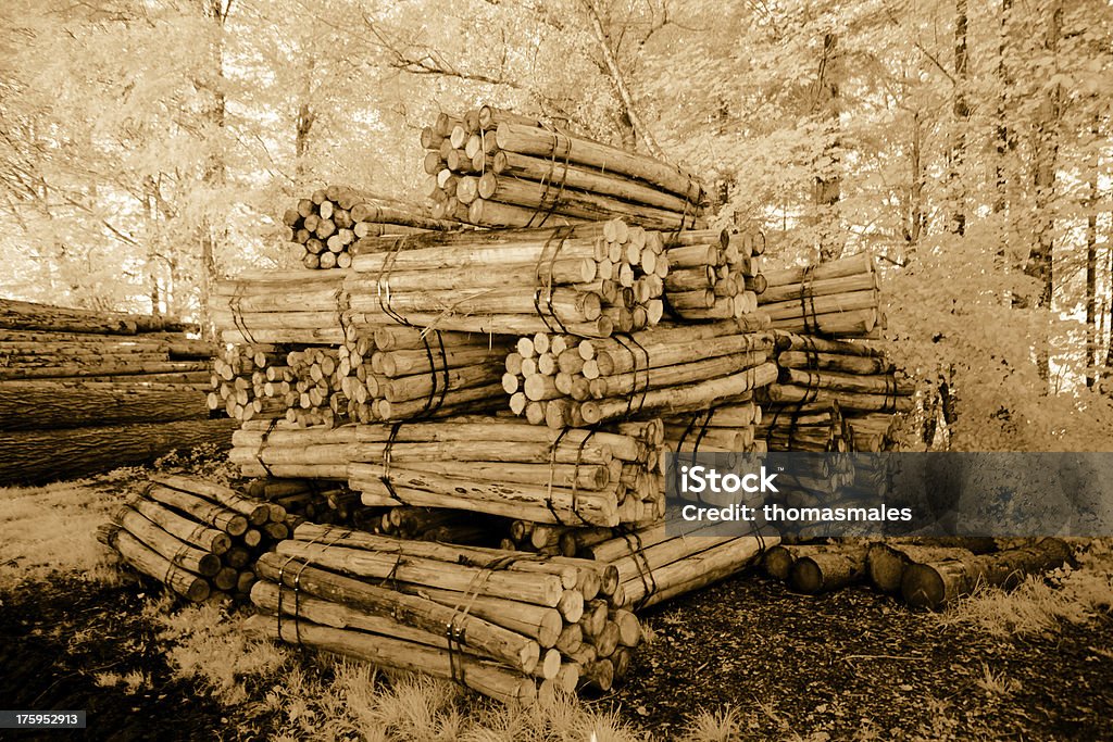 Drewniane tyczki - Zbiór zdjęć royalty-free (Ciąć)