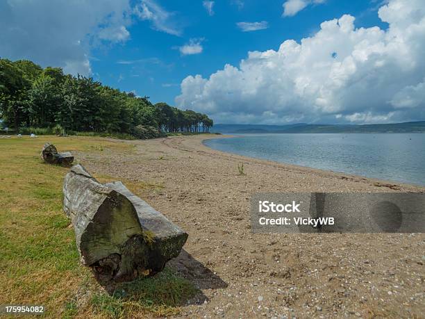 Vista Sobre O Lago Fyne - Fotografias de stock e mais imagens de Ao Ar Livre - Ao Ar Livre, Argyll and Bute, Azul