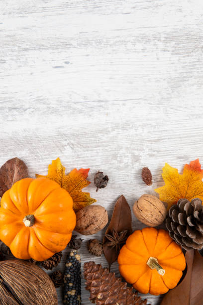 istock Happy Thanksgiving and Autumn Backgrounds 1759550761
