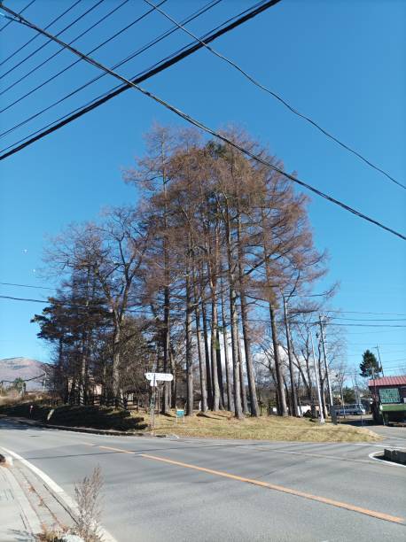 istock Beautiful winter atmosphere in Nagano Prefecture, Japan. 1759555036