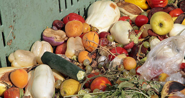 istock damaged fruits and vegetables 175956933