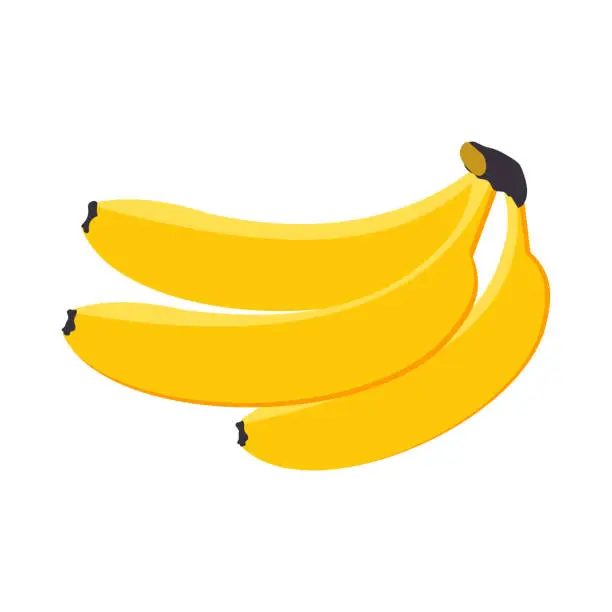 Vector illustration of Bananas three pieces yellow sweet ripe exotic tropical fruit isolated on a white background. Vector.