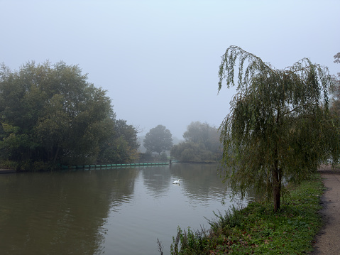 Autumnal leaf colours and a misty atmosphere along theRiver taken with iPhone 15 Pro