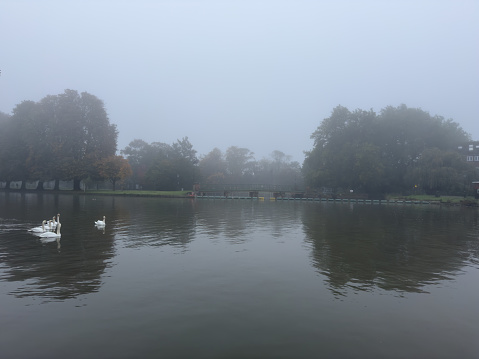 landscape of morning lake with autumn forest