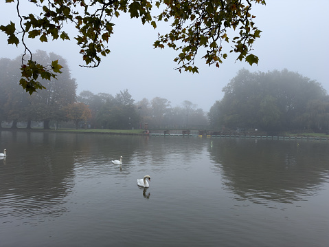 Suspension bridge in the fog