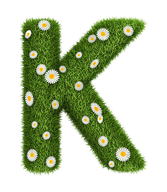 natürlichem gras buchstabe k - letter k alphabet three dimensional shape green stock-fotos und bilder