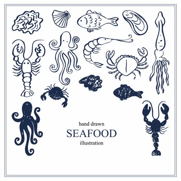 Vector illustration of Seafood card template background for text hand drawn sketch vector illustration. Design backdrop with seafood delicacies oysters, crab, fish, mussels, shrimp, lobster, crayfish, squid, octopus,shell