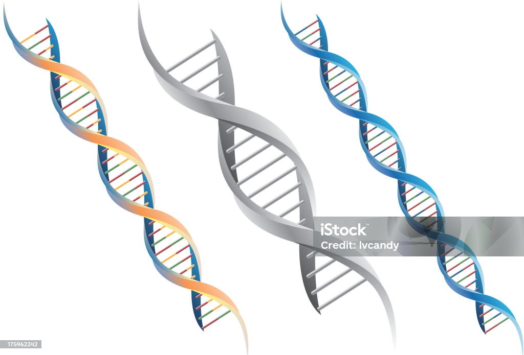 Molécula de ADN - arte vectorial de ADN libre de derechos
