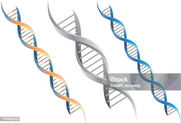 Molécula De Dna - Arte vetorial de stock e mais imagens de ADN - ADN, Modelo de Hélice, Hélice - Formas Geométricas