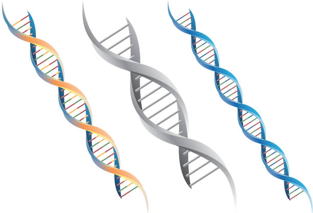 DNA molecule Layer using a transparent effect and mixed mode. genetic makeup stock illustrations