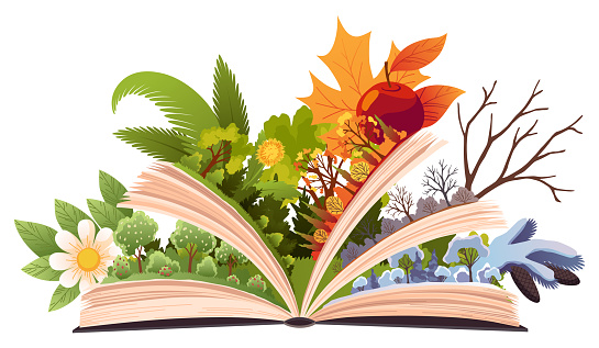Book four seasons. Fairy tale story about four seasons, summer, winter, spring, autumn. Open book with different season on pages. Reading fantasy storybook about nature. Vector illustration.