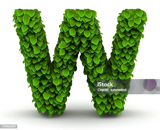 Leaves Font Letter W Stock Photo - Download Image Now - Alphabet, Collection, Design