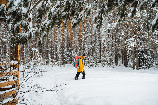 A traveler in bright clothes walks through a forest thicket through a blizzard, Snowy forest and rocks. Climbing the mountain in winter. Survival in the wild. High quality photo