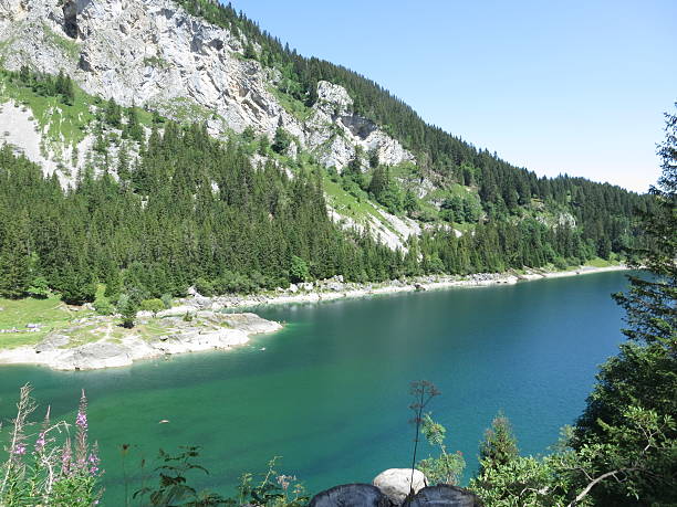 istock Tannay Lake, Switzerland 175970564