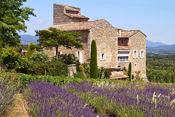 The exterior view of a house in Provence Beatiful house is situated near blooming lavender, Provence, France. lavender-garden stock pictures, royalty-free photos & images