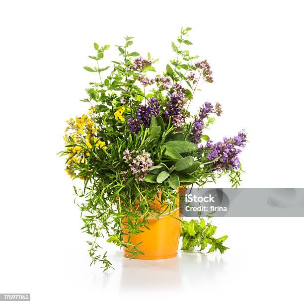 Foto de Verão De Ervas e mais fotos de stock de Bouquet - Bouquet, Erva-cidreira, Florescer