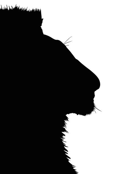 istock Portrait Silhouette of Large Lion Head 1759737803