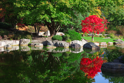 Japanese garden with pond and colorful autumn trees reflected in the water