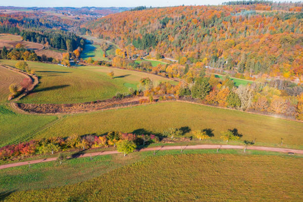 istock The Taunus in autumn 1759740332