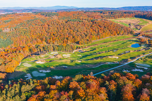 Aerial view of the autumn-colored forest in Taunus/Germany on a sunny day