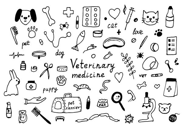 Veterinary medicine doodle, set with pets, medicines and food. Cat and dog, hamster, rabbit. Vector illustration on white background. Veterinary medicine doodle, set with pets, medicines and food. Cat and dog, hamster, rabbit. Vector illustration on white background. pet snake stock illustrations