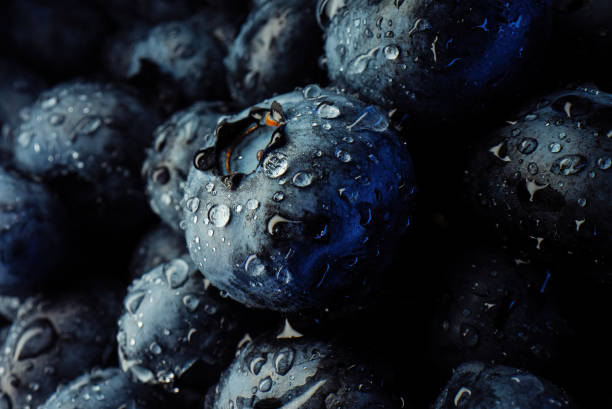 Extreme macro blueberries background. Fresh ripe summer organic berries harvest.