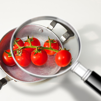 Quality control HACCP food safety (Hazard Analyses and Critical Control Points) - concept image with bunch of cherry tomatoes seen through a magnifying glass