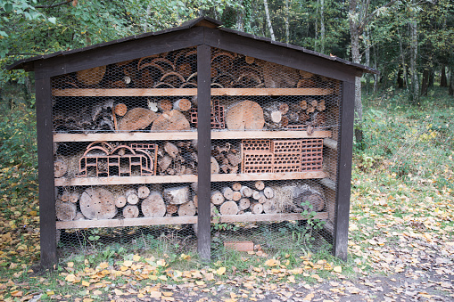 An insect hotel, also known as bug hotel or insect house, is a manmade structure created to provide shelter for insects. They can come in a variety of shapes and sizes Most consist of several different sections that provide insects with nesting facilities particularly during winter, offering shelter or refuge for many types of insects. Their purposes include hosting pollinators.