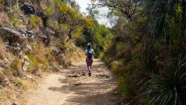 istock young woman hiking 1759820461
