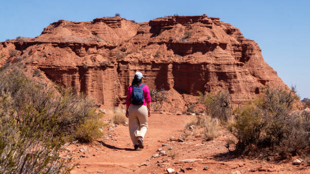 istock woman hiking 1759823589