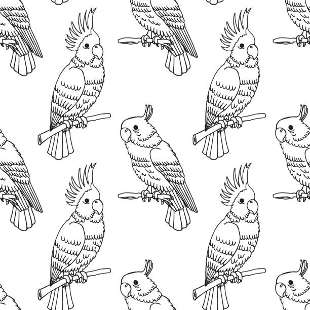 Seamless pattern, hand-drawn tropical birds parrots. Black and white print, background. Outline drawing, sketch. Seamless pattern, hand-drawn tropical birds parrots. Black and white print, background. Outline drawing, sketch. Vector echo parakeet stock illustrations