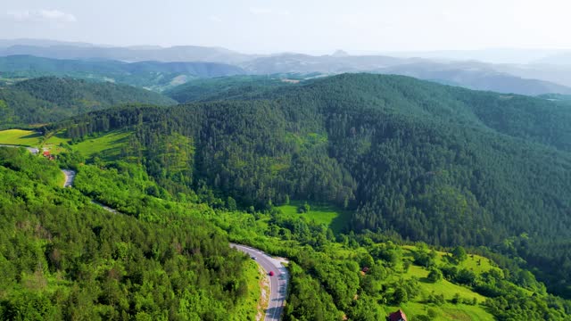 Nature Drive, Aerial Panorama, Driving Through Trees, Summer Landscapes