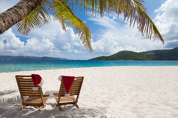 istock chairs with Christmas hats under palm tree at a beach 175988686